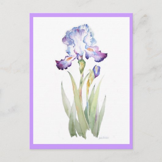 Carte Postale Iris pourpre (Devant)