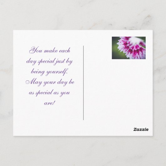 Carte Postale Iris pourpre après pluie (Dos)