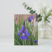 Carte Postale Iris Pourpre Botanique Floral Photographique (Debout devant)
