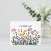 Carte Postale Iris Purple (Debout devant)