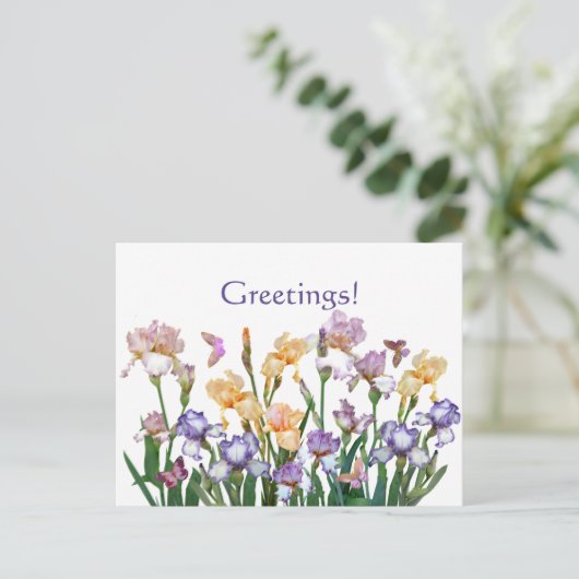 Carte Postale Iris Purple (Debout devant)