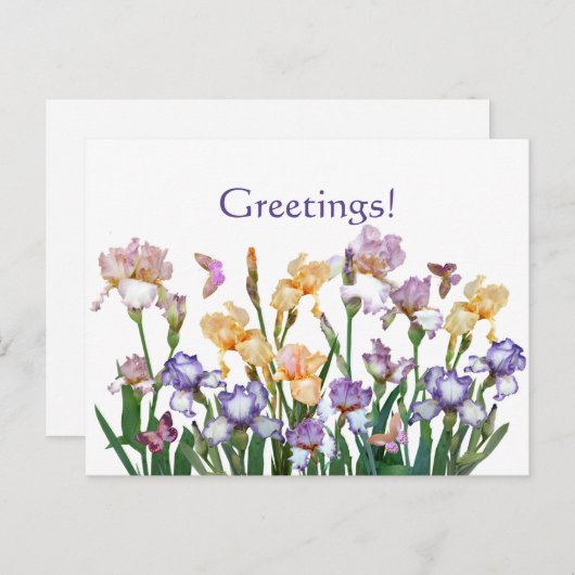Carte Postale Iris Purple (Devant / Derrière)