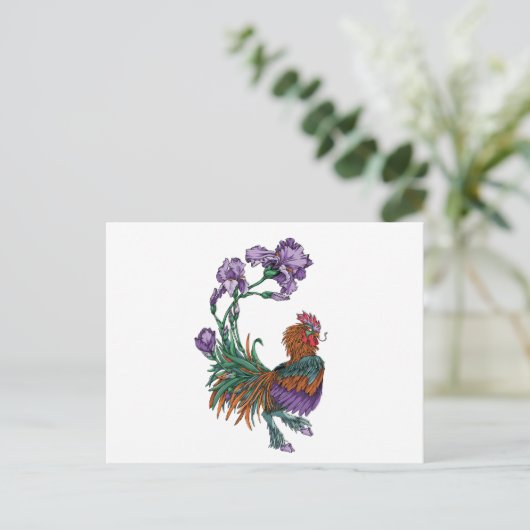Carte Postale Iris Rooster (Debout devant)