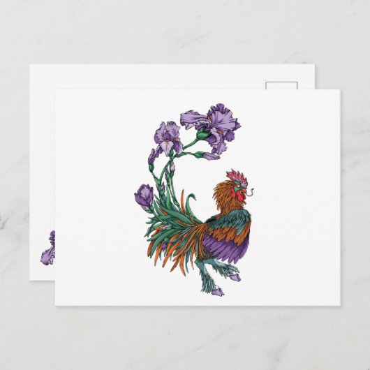 Carte Postale Iris Rooster (Devant / Derrière)