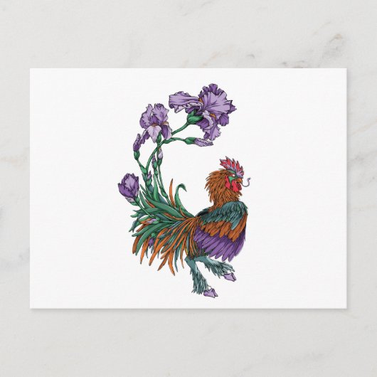 Carte Postale Iris Rooster (Devant)
