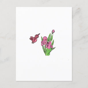 Carte Postale Iris rose