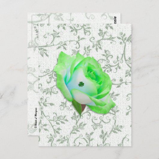 Carte Postale Iris Rose et Shamrock ! (Devant / Derrière)