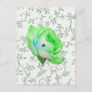 Carte Postale Iris Rose et Shamrock !