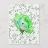 Carte Postale Iris Rose et Shamrock ! (Devant)