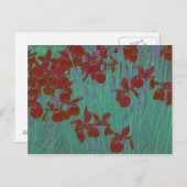 Carte Postale Iris rouge (Devant / Derrière)