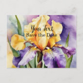 Carte Postale Iris Schwertlilie | (Devant)