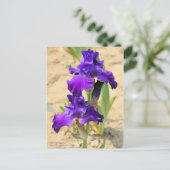 Carte Postale Iris "Skyship"    [Carte postale] (Debout devant)