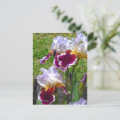 Carte Postale Iris ‘Stunning’ [Postcard] ポストカード (Debout devant)