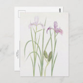 Carte Postale Iris Tenax par William Dykes (Devant / Derrière)