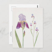 Carte Postale Iris Trojana par William Dykes (Devant / Derrière)