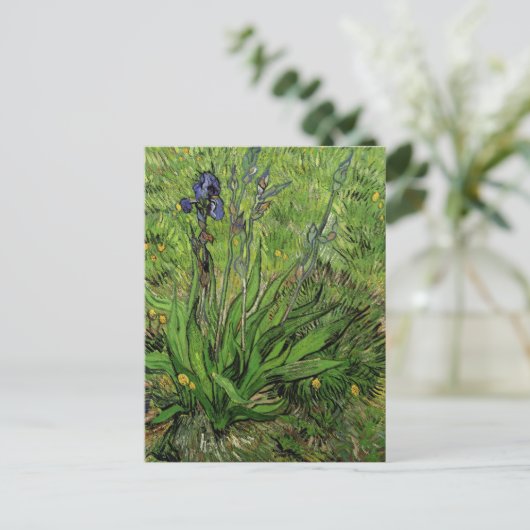 Carte Postale Iris, Vincent van Gogh (Debout devant)