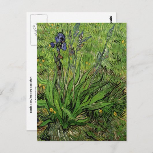 Carte Postale Iris, Vincent van Gogh (Devant / Derrière)