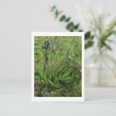 Carte Postale Iris, Vincent van Gogh (Debout devant)