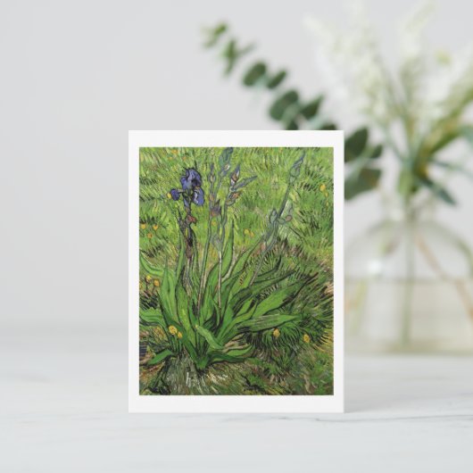 Carte Postale Iris, Vincent van Gogh (Debout devant)