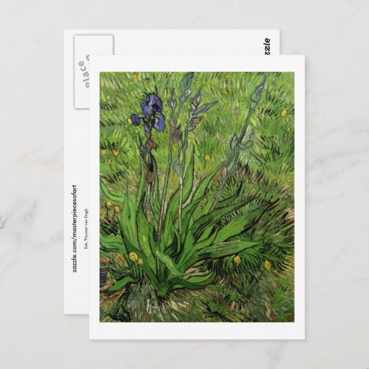 Carte Postale Iris, Vincent van Gogh (Devant / Derrière)