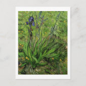 Carte Postale Iris, Vincent van Gogh (Devant)