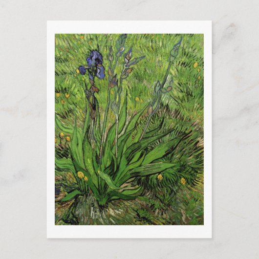 Carte Postale Iris, Vincent van Gogh (Devant)