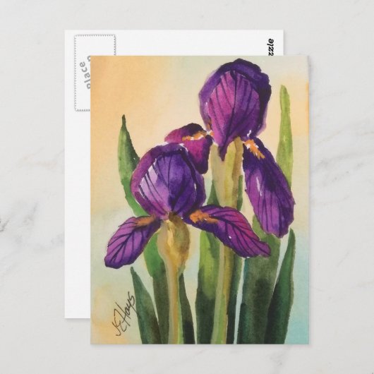 Carte postale Iris violet (Devant / Derrière)