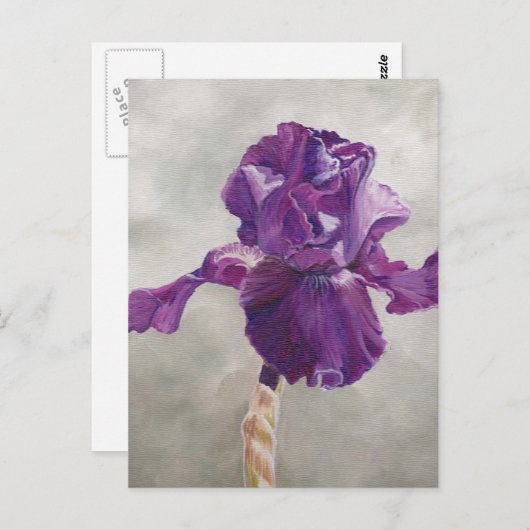 Carte postale Iris Violet (Devant / Derrière)