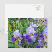 Carte Postale Iris violets (Devant / Derrière)