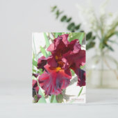Carte Postale Iris "War Sayles" [Carte postale] (Debout devant)