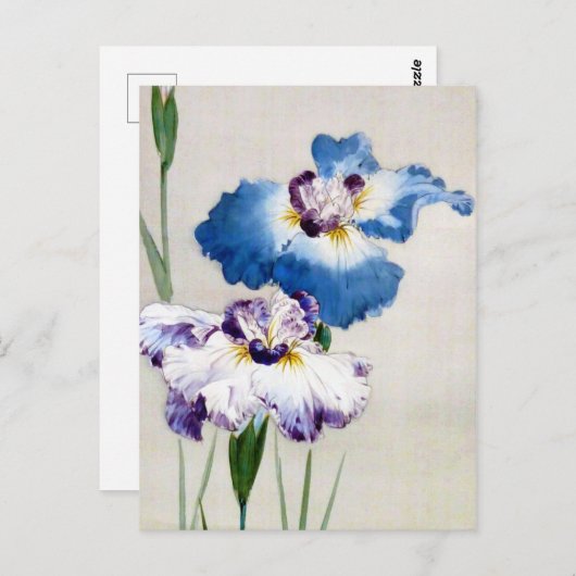 Carte Postale Iris, Watanabe Seitei (Devant / Derrière)