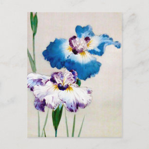 Carte Postale Iris, Watanabe Seitei