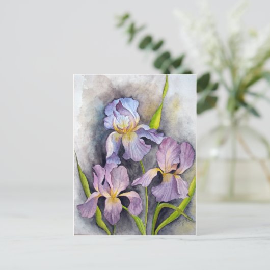 Carte Postale Irises (Debout devant)