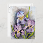 Carte Postale Irises (Devant / Derrière)