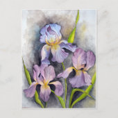 Carte Postale Irises (Devant)