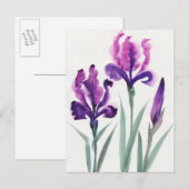 Carte Postale Irises (Devant / Derrière)
