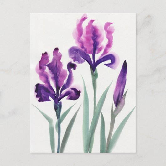 Carte Postale Irises (Devant)
