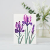 Carte Postale Irises (Debout devant)