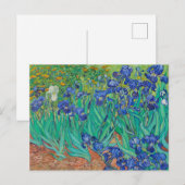 CARTE POSTALE "IRISES 1889" DE VINCENT Van Gogh (Devant / Derrière)