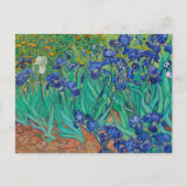 Carte postale Irises de Vincent van Gogh (Devant)