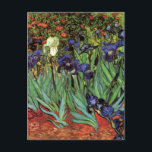 Carte Postale Irises de Vincent van Gogh, Jardin Vintage<br><div class="desc">Irises (1889) de Vincent van Gogh est une peinture vintage à fleurs de paysage de post impressionnisme d'art, représentant un jardin aux iris à barbe violet poussant par des pavots orange. Une seule fleur d'iris blanc fleurit au bord. À propos de l'artiste : Vincent Willem van Gogh (1853-1890) fut l'un...</div>
