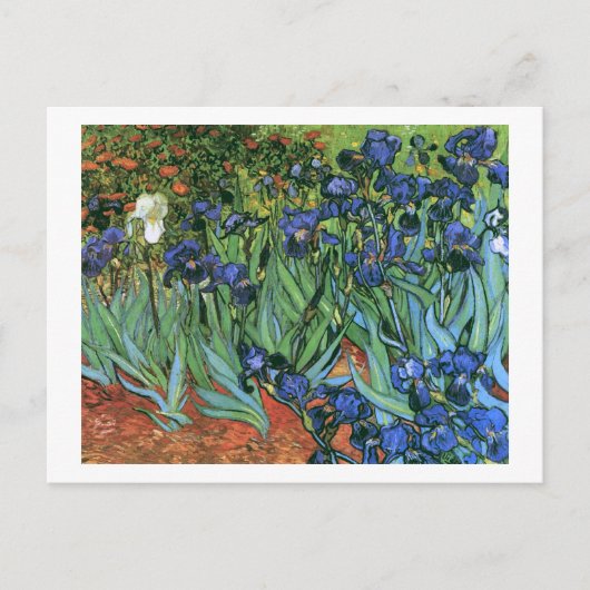 Carte Postale Irises (F608) Van Gogh Fine Art (Devant)