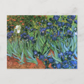 Carte Postale Irises (F608) Van Gogh Fine Art (Devant)