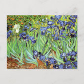 Carte Postale Irises In the Garden Vincent van Gogh (Devant)