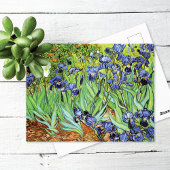 Carte Postale Irises In the Garden Vincent van Gogh