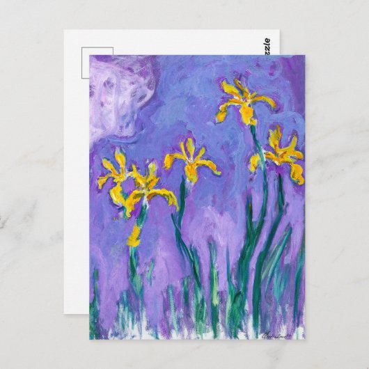 Carte Postale Irises jaunes avec nuage rose | CLAUDE MONET | (Devant / Derrière)