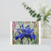 Carte Postale Irises oil painting (Debout devant)