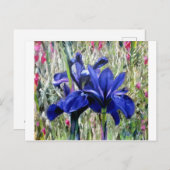 Carte Postale Irises oil painting (Devant / Derrière)