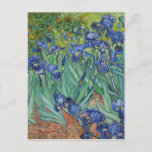 Carte Postale Irises par Van Gogh<br><div class="desc">L'art de Vincent van Gogh - Peintures de la nature et de la flore - Oeuvres de paysage post-impressionnistes</div>