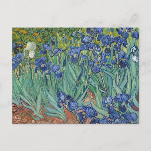 Carte Postale Irises par Vincent Van Gogh (Devant)